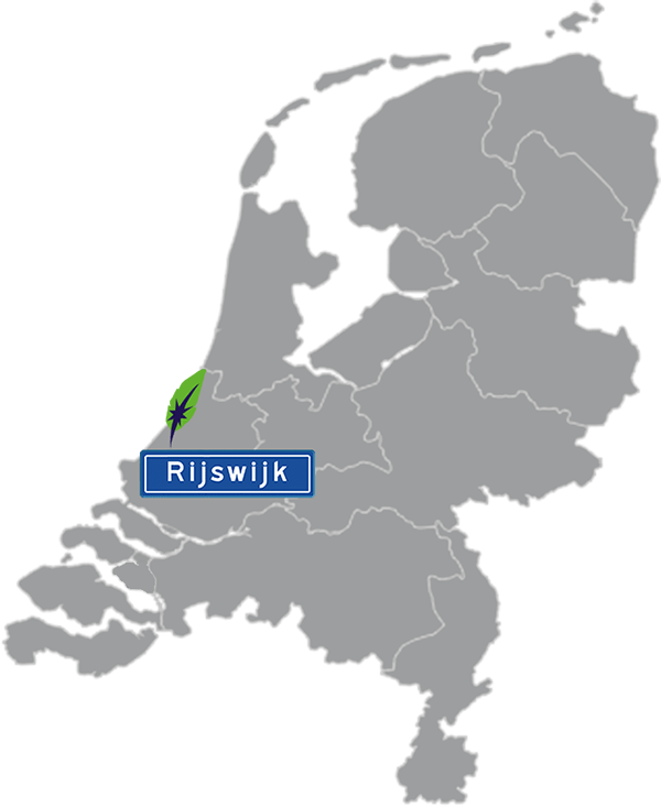 Grijze kaart van Nederland met Rijswijk aangegeven voor maatwerk taalcursus Engels zakelijk - blauw plaatsnaambord met witte letters en Dagnall veer - transparante achtergrond - 600 * 733 pixels